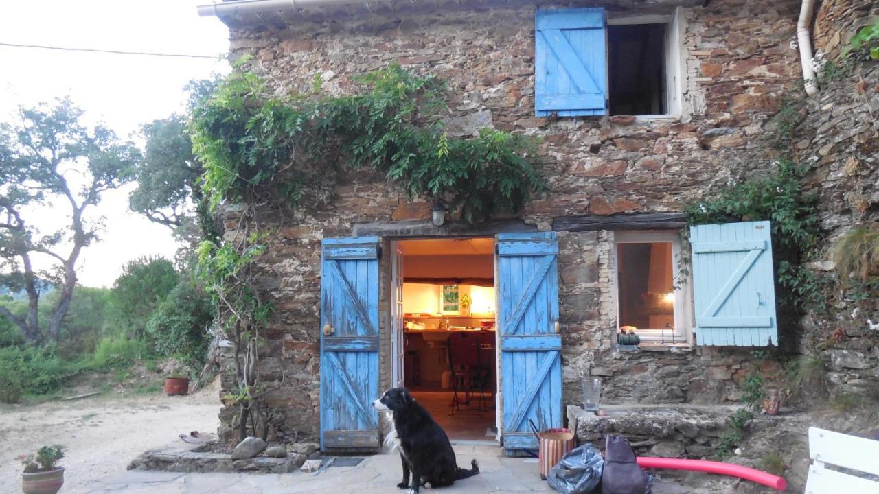 La Bergerie Villa La Garde-Freinet Exterior foto